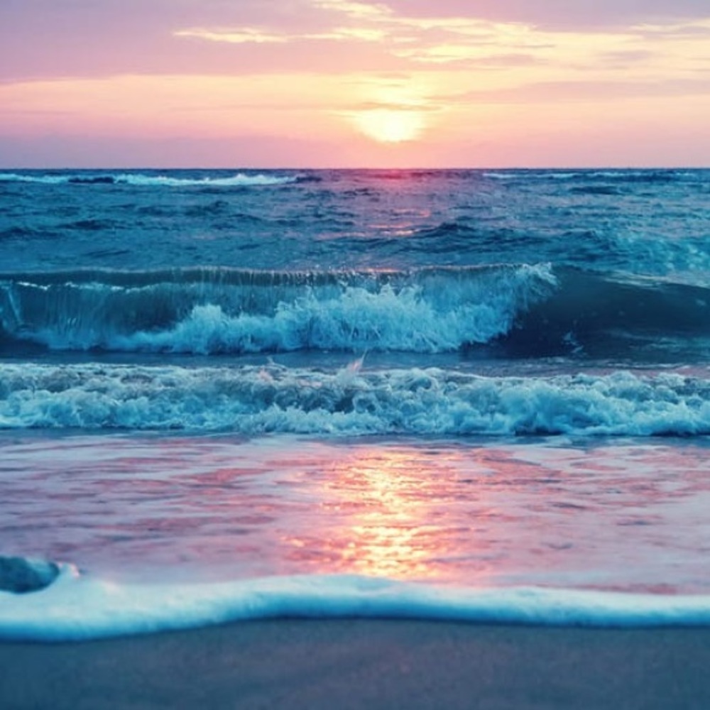 Meet your Posher, Kay